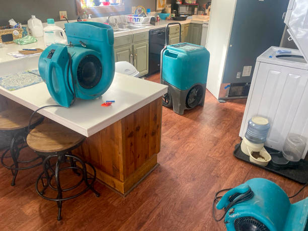 Water damage restoration experts in UT