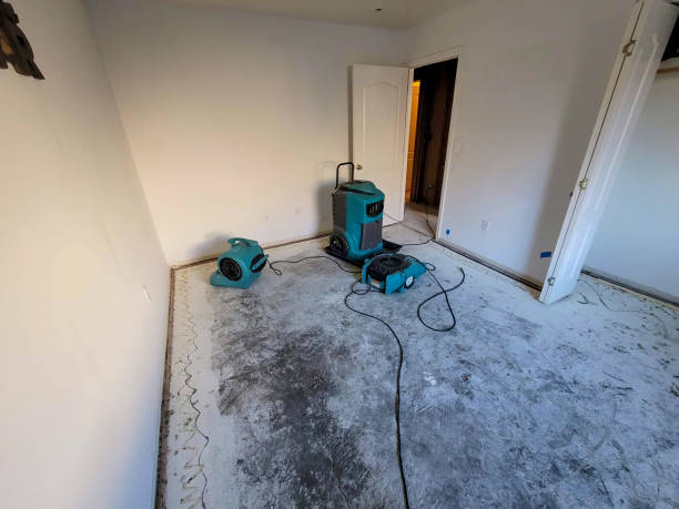 Best Emergency water extraction  in Woods Cross, UT