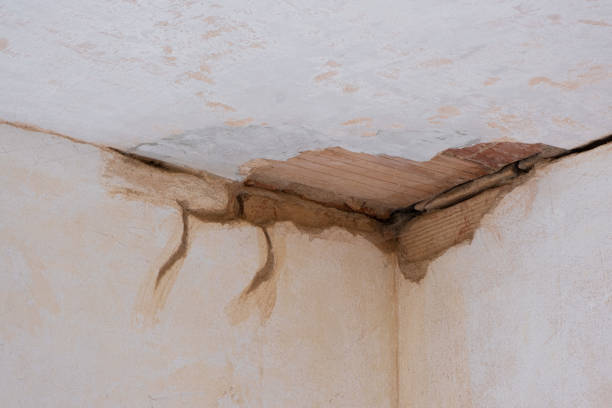 Best Ceiling water damage repair  in Woods Cross, UT
