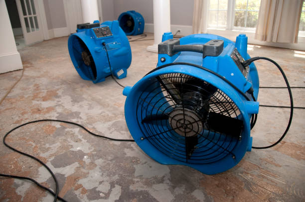 Best Water damage restoration near me  in Woods Cross, UT