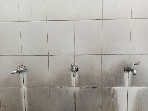 Best 24-hour water damage restoration  in Woods Cross, UT