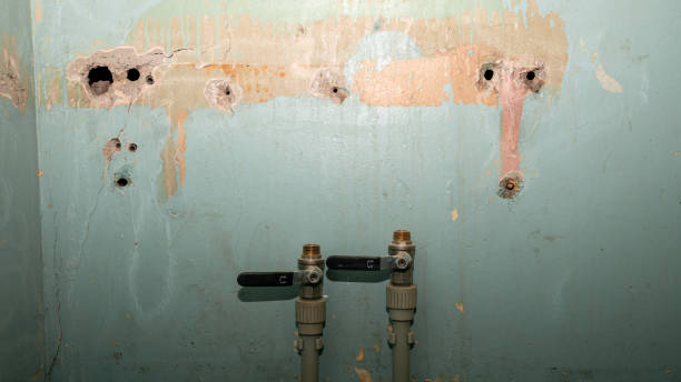 Reliable UT Water damage restoration Solutions