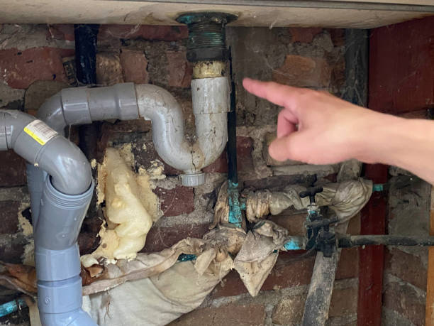 Best Fire Damage Restoration  in Woods Cross, UT