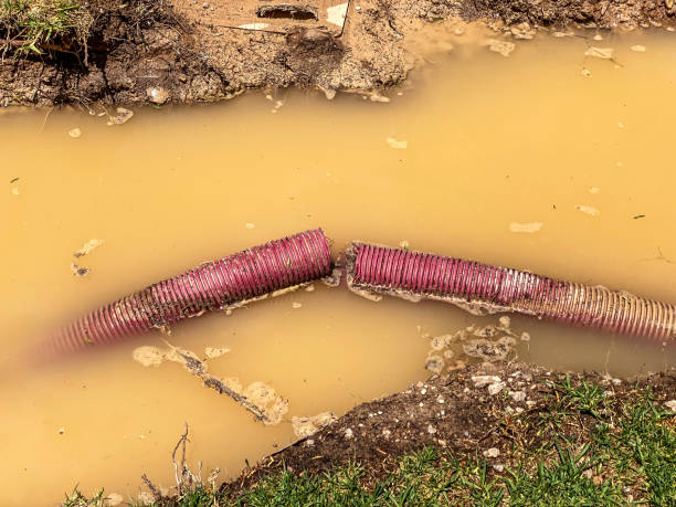 Best Local water damage restoration  in Woods Cross, UT